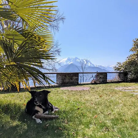 Vakantiehuis Haus Unter Der Buche *